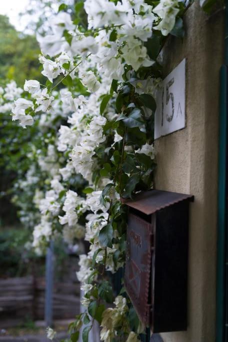 Ferienwohnung Genova Garden, Vicino Al Gaslini E Boccadasse Exterior foto